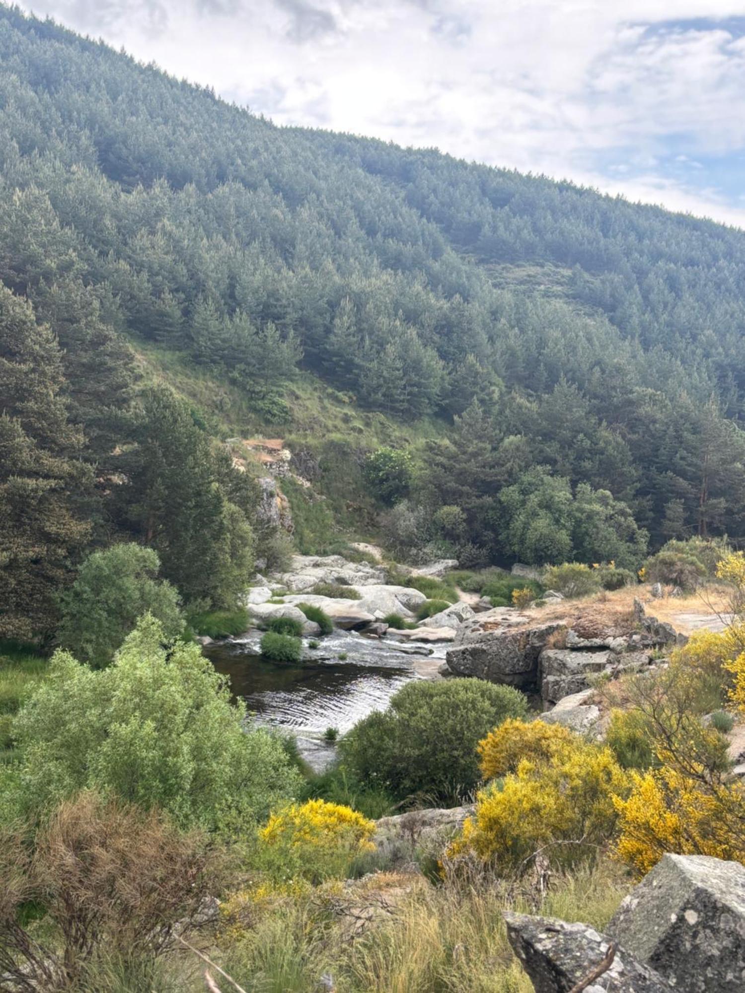Villa De Gredos Navarredonda de Gredos Exteriör bild